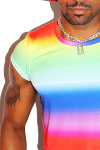 Rainbow Ombre Fitted Crop Tee- Multi