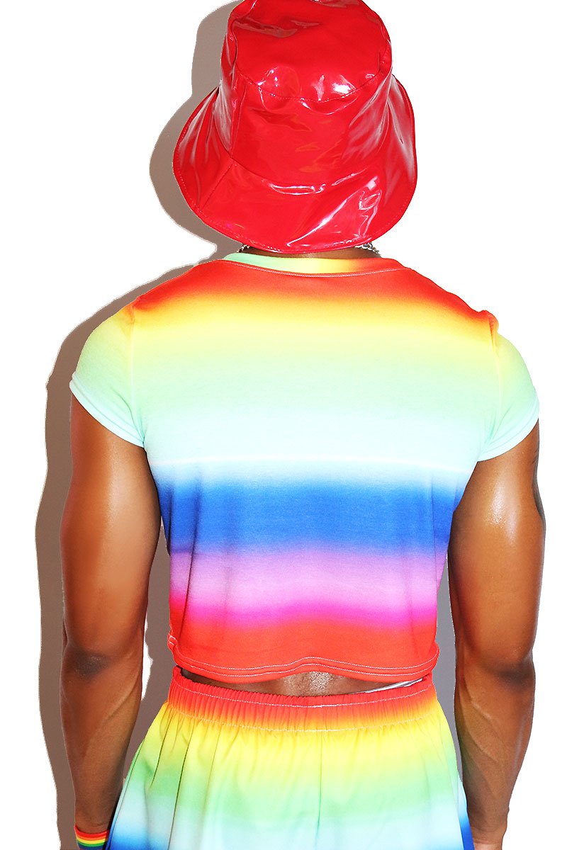Rainbow Ombre Fitted Crop Tee- Multi