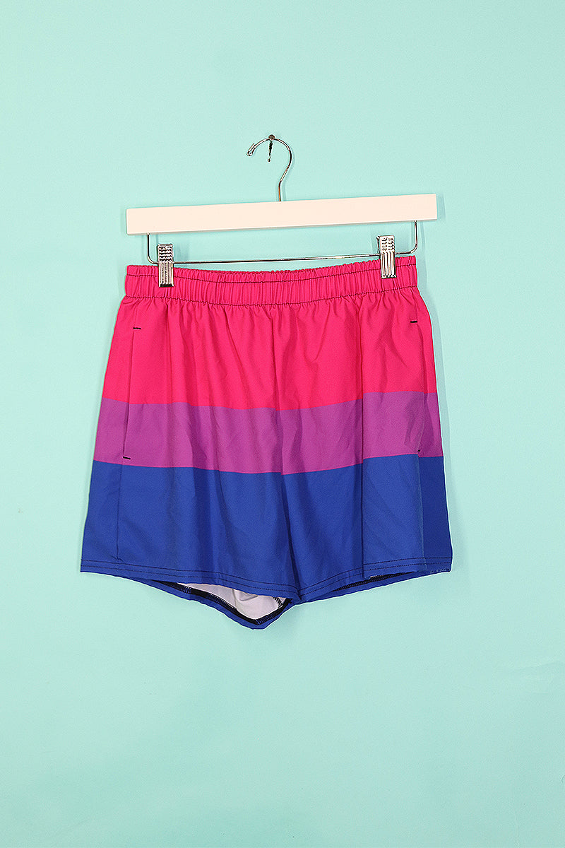 Sample#00142-Bisexual Flag All Over Print Shorts- M