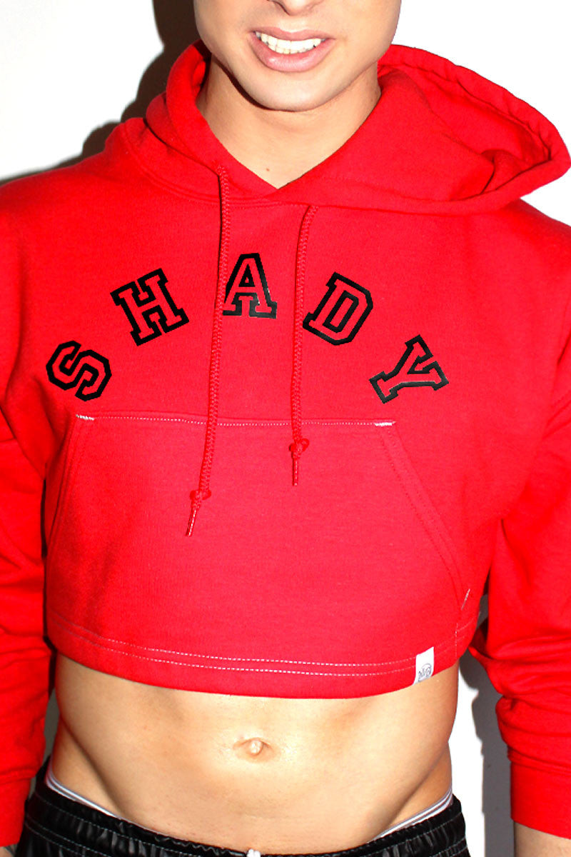 Shady Crop Long Sleeve Hoodie-Red