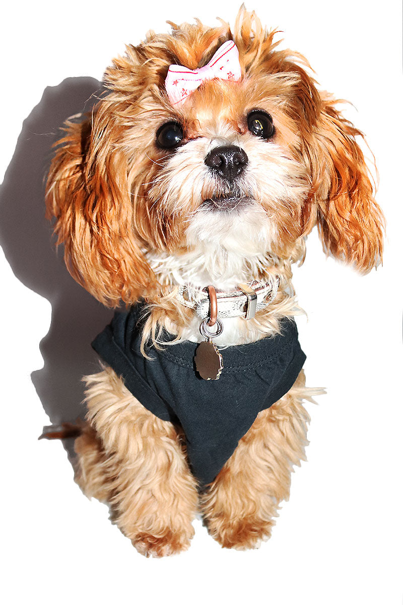 Woof Dog Tee- Black