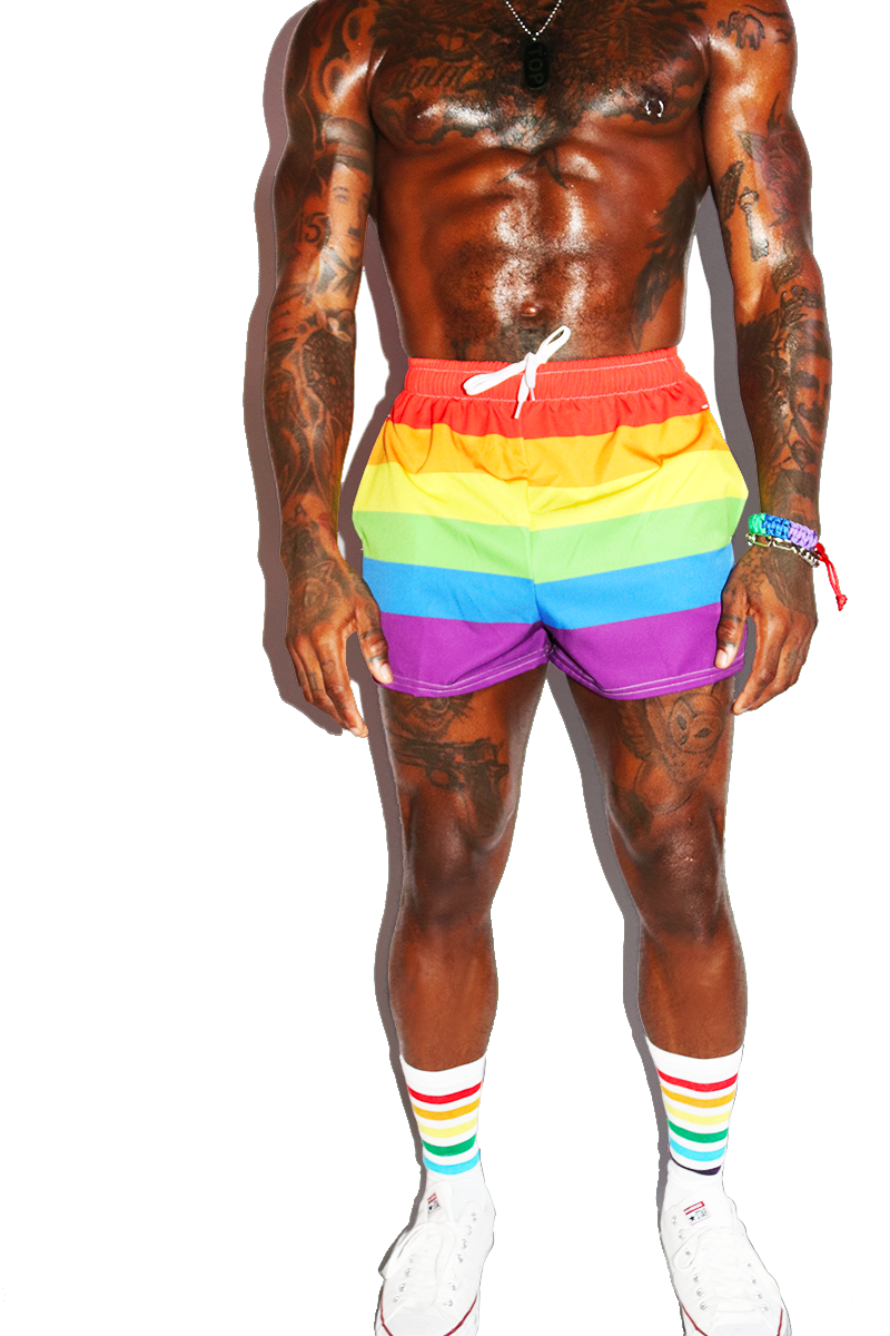 Rainbow Stripe All Over Active Shorts- Multi